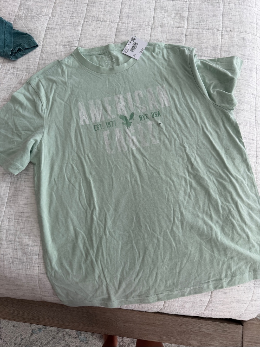 American Eagle Outfitters Mint Green Logo T‑Shirt